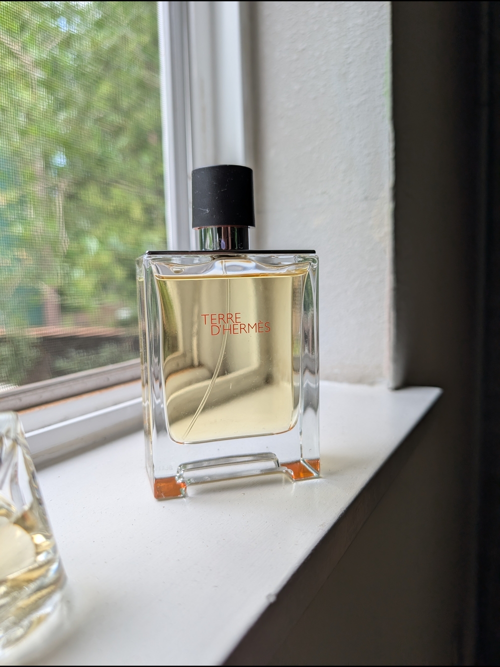 Hermes Terre d'Hermes Eau de Toilette - 100 mL, 3.3 fluid ounces - Picture 3 of 8